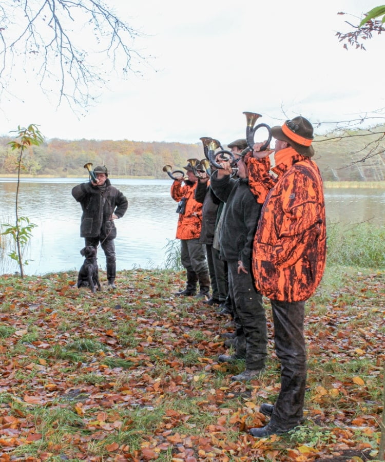 Drückjagd wildhandel-jagd wild-aufkaufen-jaeger