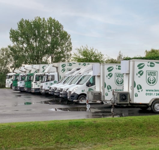 Unser Wildhandel verfügt über einen modernen Fuhrpark zur Wildabholung und zum Wildtransport Fuhrpark des Wildhandels Lenz Wild mit Kühlfahrzeugen